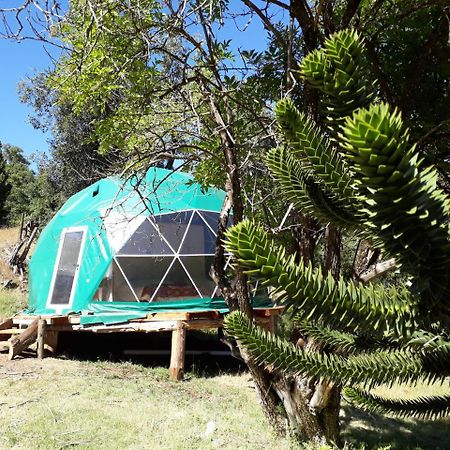 El Cipresal - Domo Fiofio Hotel San Martín de los Andes Eksteriør billede