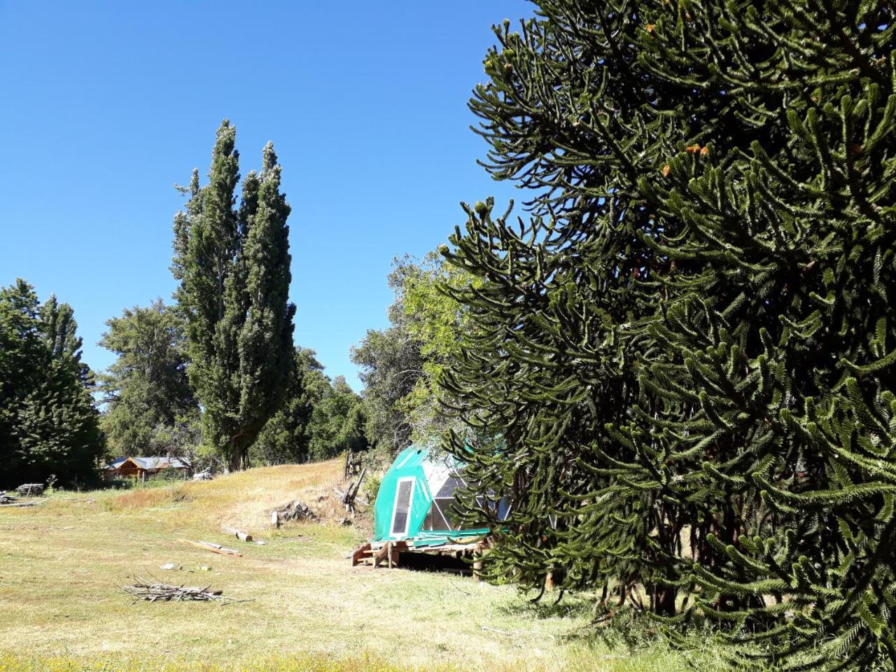 El Cipresal - Domo Fiofio Hotel San Martín de los Andes Eksteriør billede