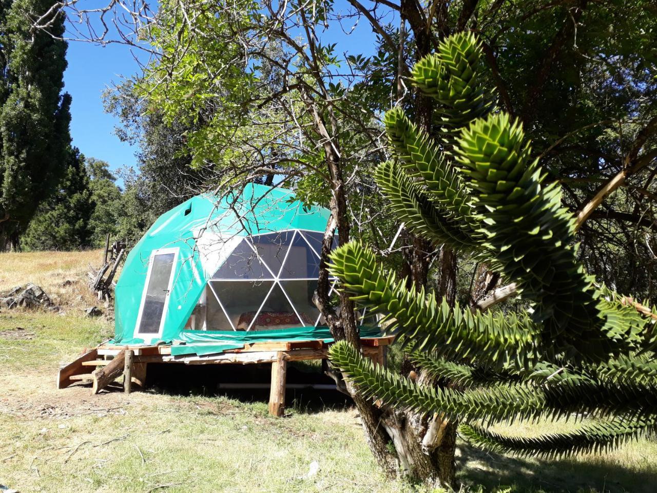 El Cipresal - Domo Fiofio Hotel San Martín de los Andes Eksteriør billede